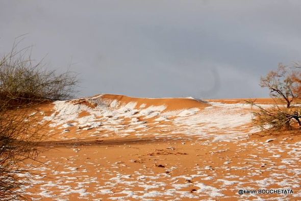 Зимнее чудо: в Сахаре второй год подряд выпал снег – ФОТО