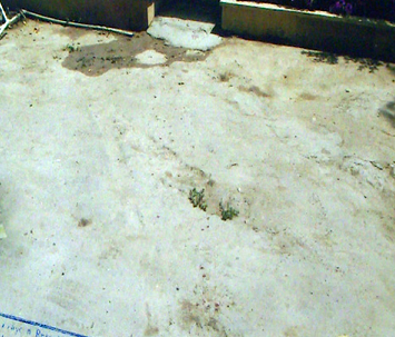 Срок гражданина РФ, ранившего из оружия человека в Гарачухуре увеличен до 10 лет- (ФОТО ЭКСКЛЮЗИВ)