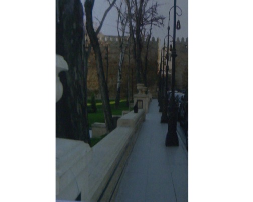 Прокурор попросил 39 лет заключения лицам, убившим женщину, отказавшуюся вступить в интимную связь - ФОТО